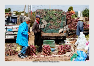 Essaouira - Morocco - 11