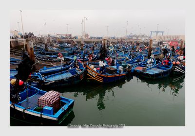 Essaouira - Morocco - 14