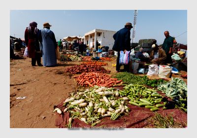 Essaouira - Morocco - 22