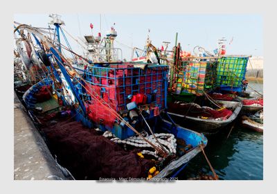 Essaouira - Morocco
