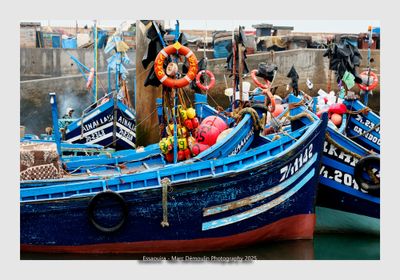 Essaouira - Morocco - 34