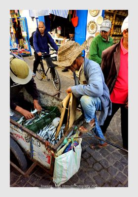 Essaouira - Morocco