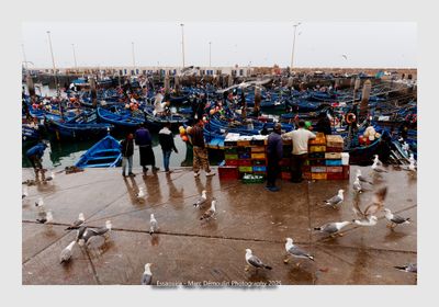 Essaouira - Morocco - 70
