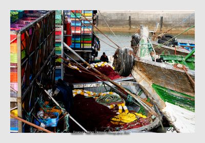 Essaouira - Morocco - 74