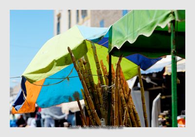 Essaouira - Morocco - 75