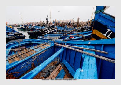 Essaouira - Morocco - 78