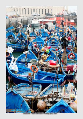 Essaouira - Morocco - 81