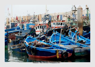 Essaouira - Morocco - 86
