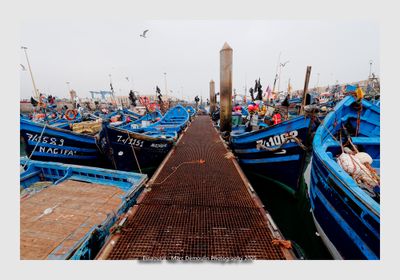 Essaouira - Morocco - 90