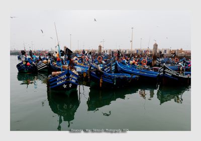 Essaouira - Morocco - 98