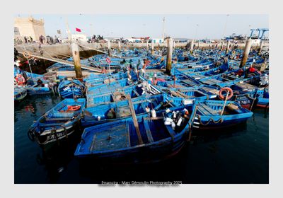 Essaouira - Morocco - 101