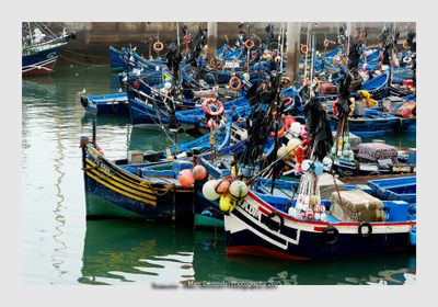 Essaouira - Morocco - 109