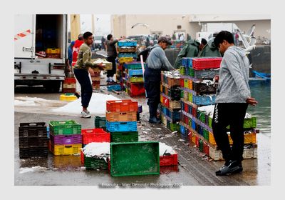 Essaouira - Morocco