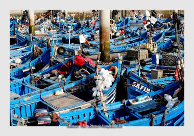 Essaouira - Morocco - 121