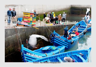 Essaouira - Morocco - 123