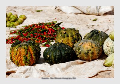 Essaouira - Morocco - 126