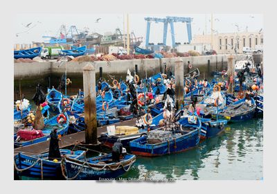 Essaouira - Morocco - 127