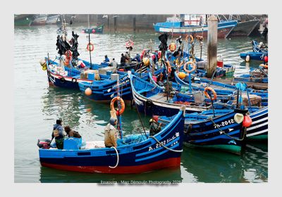Essaouira - Morocco - 133