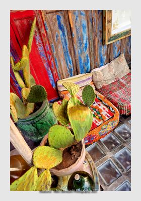 Essaouira - Morocco - 141