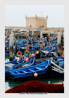 Featured Gallery