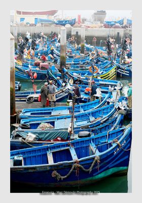 Essaouira - Morocco - 154