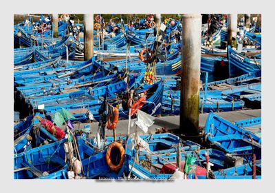 Essaouira - Morocco - 166