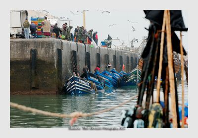 Essaouira - Morocco - 174