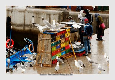 Essaouira - Morocco - 175