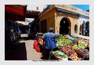 Essaouira - Morocco - 177