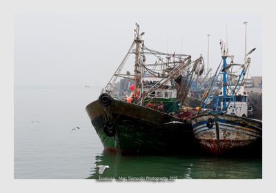 Essaouira - Morocco - 182
