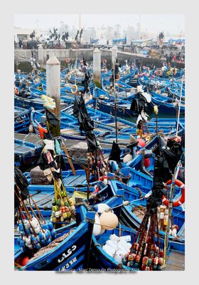 Essaouira - Morocco - 183