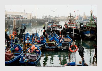 Essaouira - Morocco - 187
