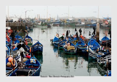 Essaouira - Morocco - 191