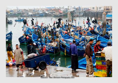 Essaouira - Morocco