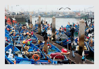 Essaouira - Morocco - 198