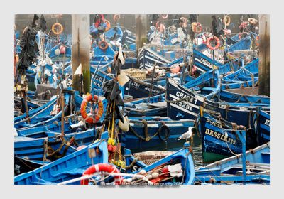 Essaouira - Morocco - 207