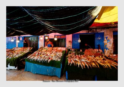 Featured Gallery