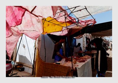 Featured Gallery