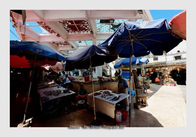 Essaouira - Morocco - 263