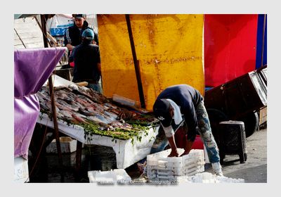 Essaouira - Morocco - 265