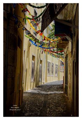 Lisboa Meu Amor