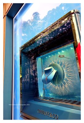 Paris Windows 29