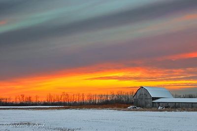 Sunrise Beyond Barn In Autumn Snow 90D43473-7