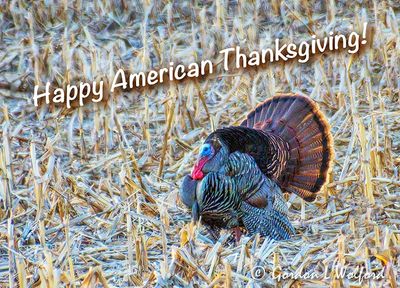 Happy American Thanksgiving 90D21604
