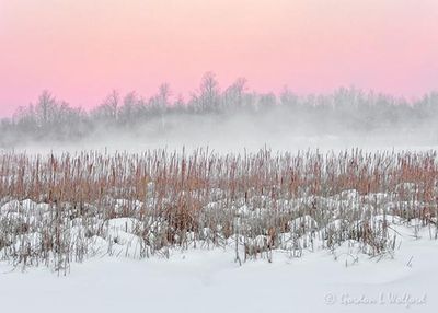 Winter Swale Mist At Sunrise DSCN120547
