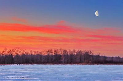 Moon Beyond Frozen Irish Creek At Sunrise 90D55313-7