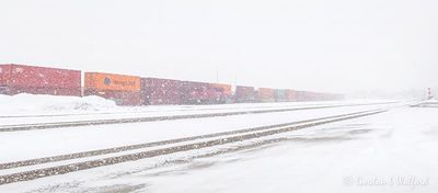 CP Rail Yard In Snowstorm DSCN122672