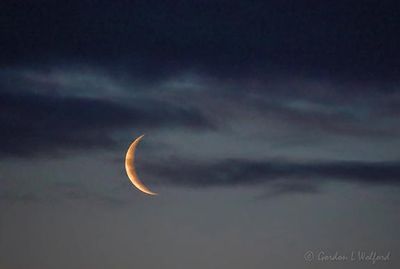 Waning Crescent Worm Moon At Dawn 90D58500