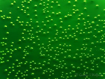 Green Bubbles P1090767