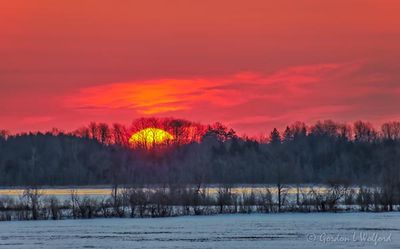 Early Spring Sunrise Beyond Trees 90D58918-22